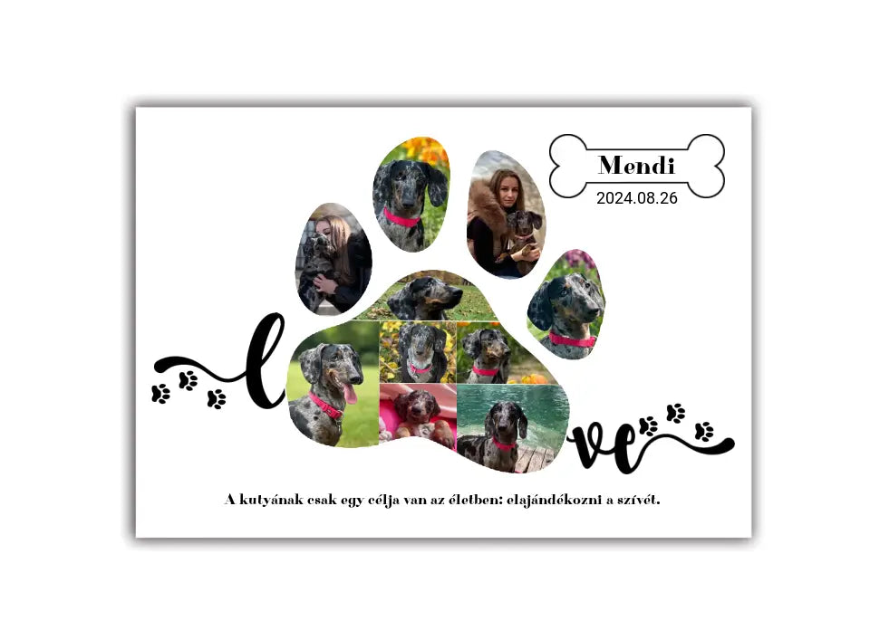 Love tappancs fotókollázs 10 fényképpel