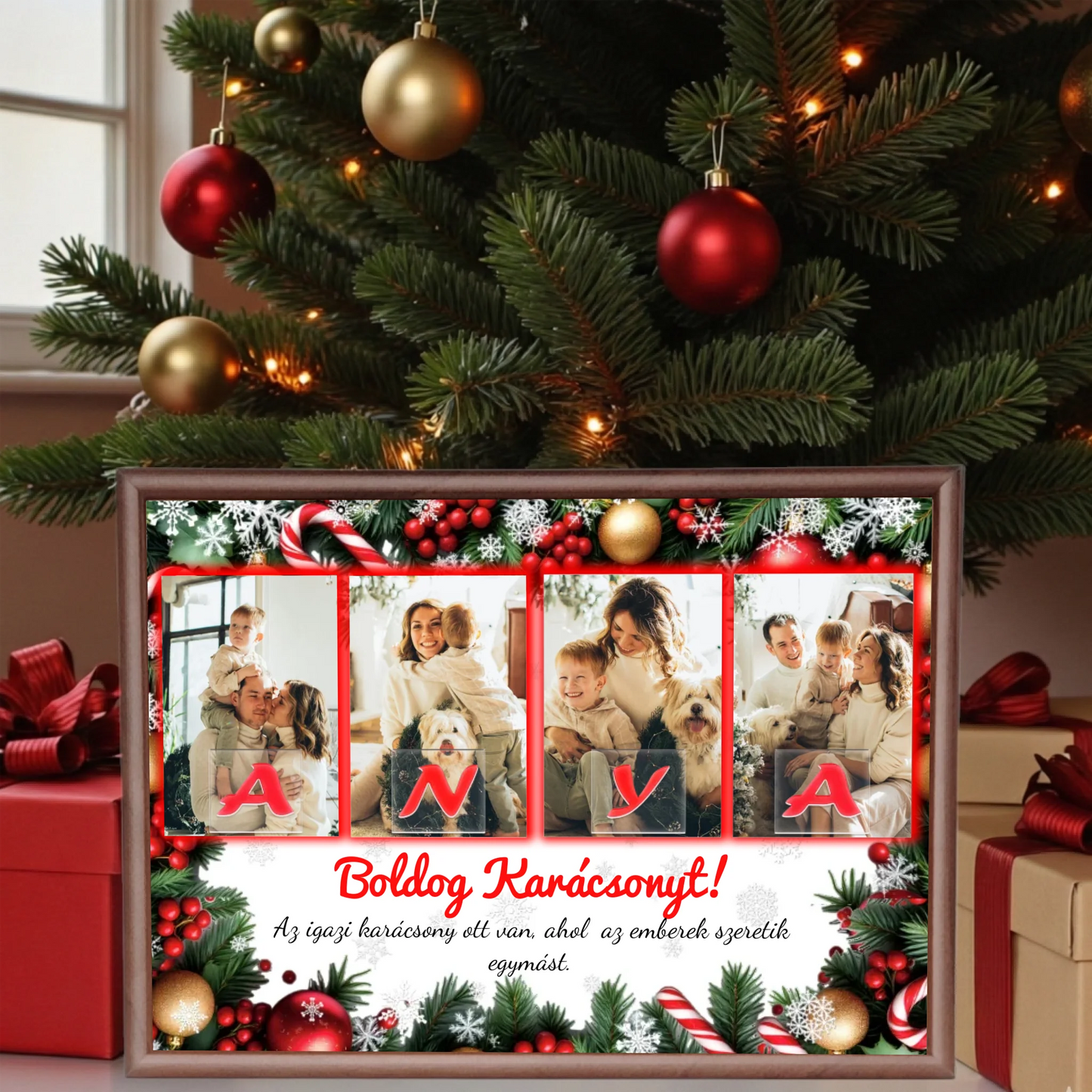 dió alap nagyít   alap