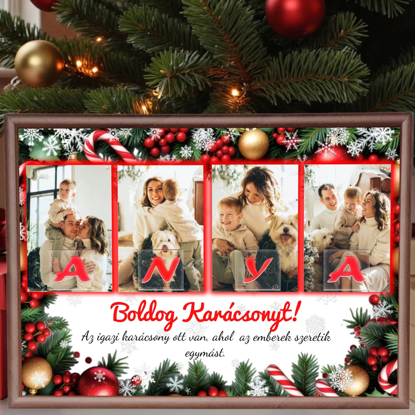 dió alap nagyít (2)