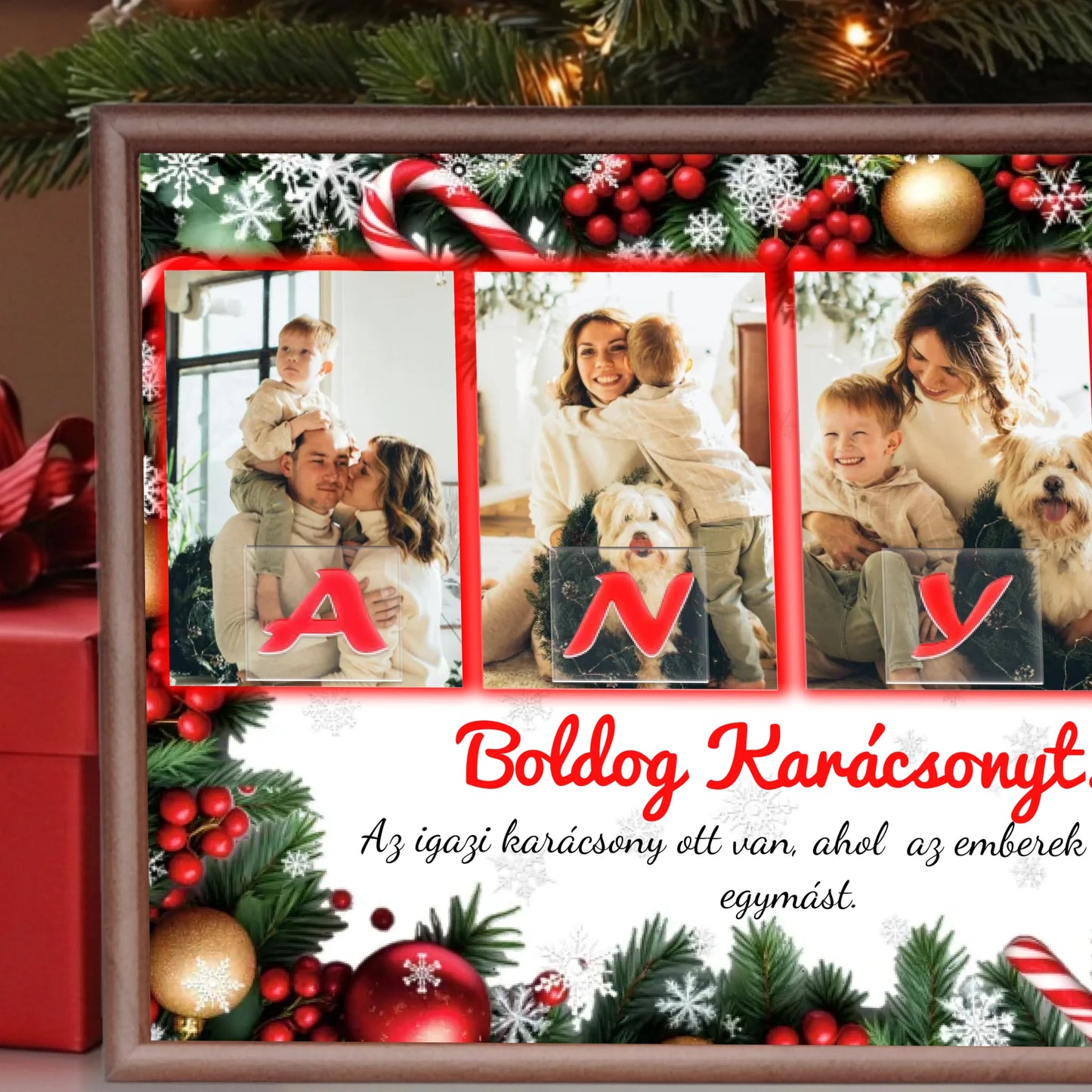 dió alap nagyít  bal