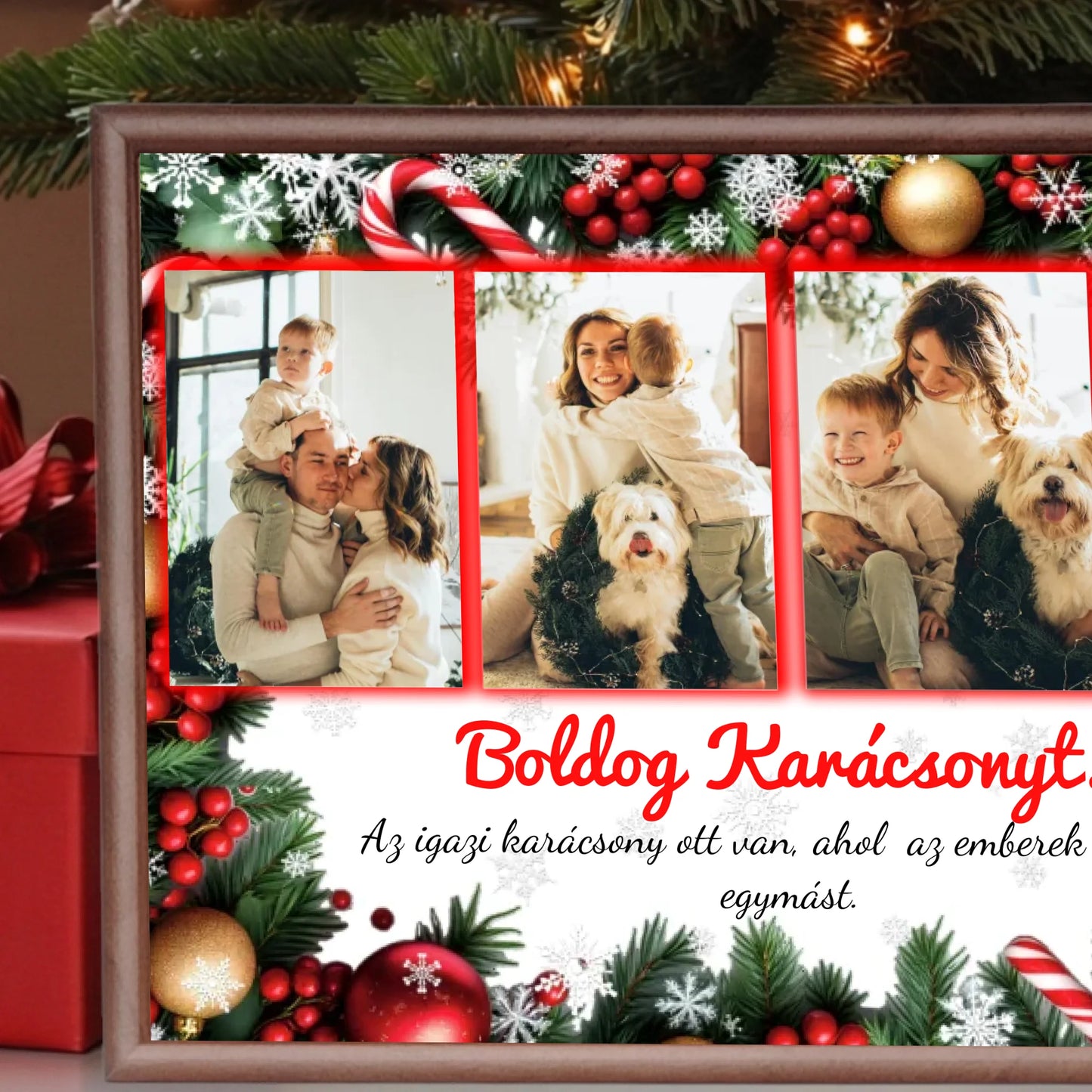 dió alap nagyít  bal