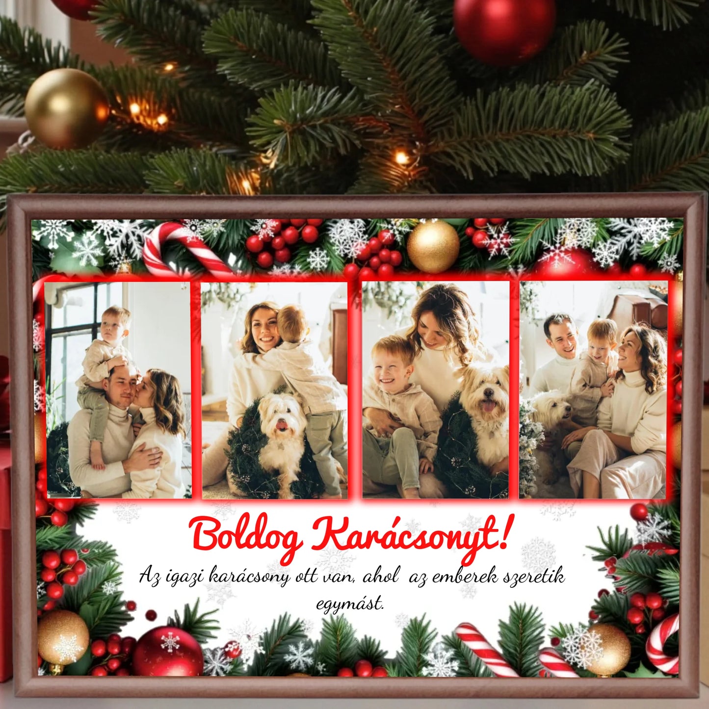 dió alap nagyít (2)