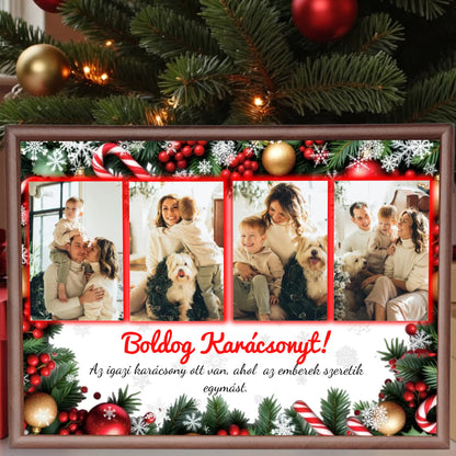 dió alap nagyít (2)