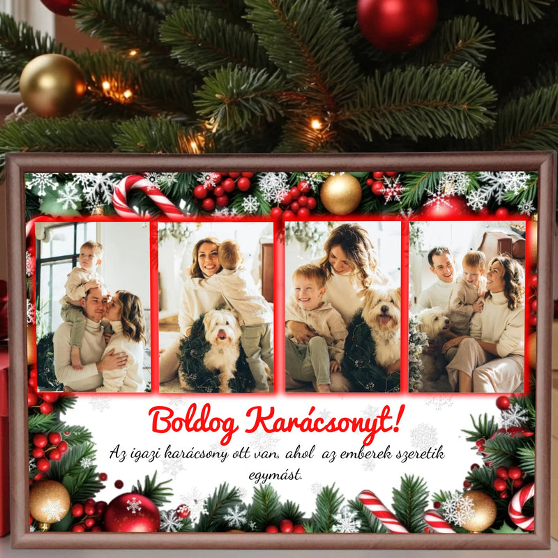 dió alap nagyít (2)