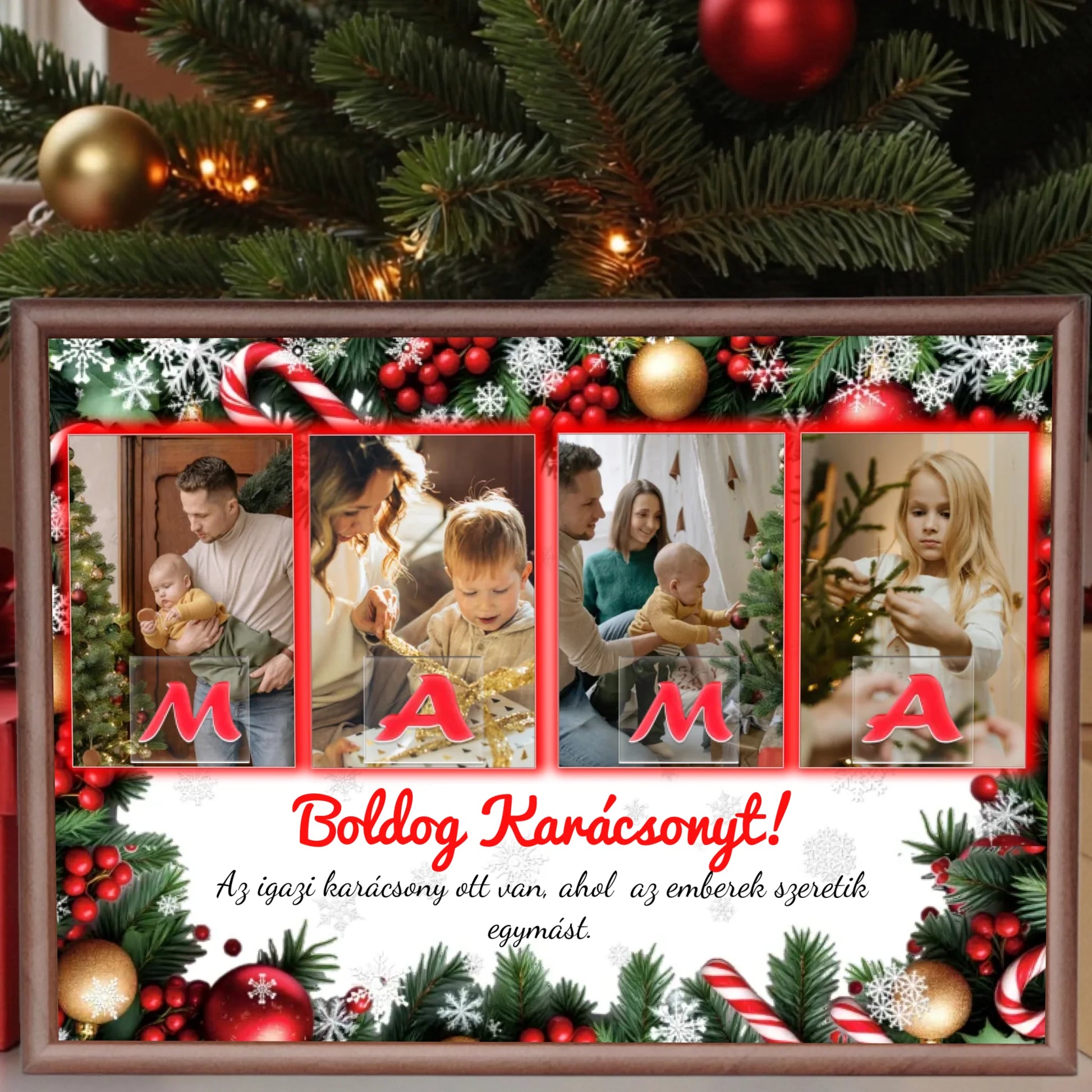 dió alap nagyít (2)